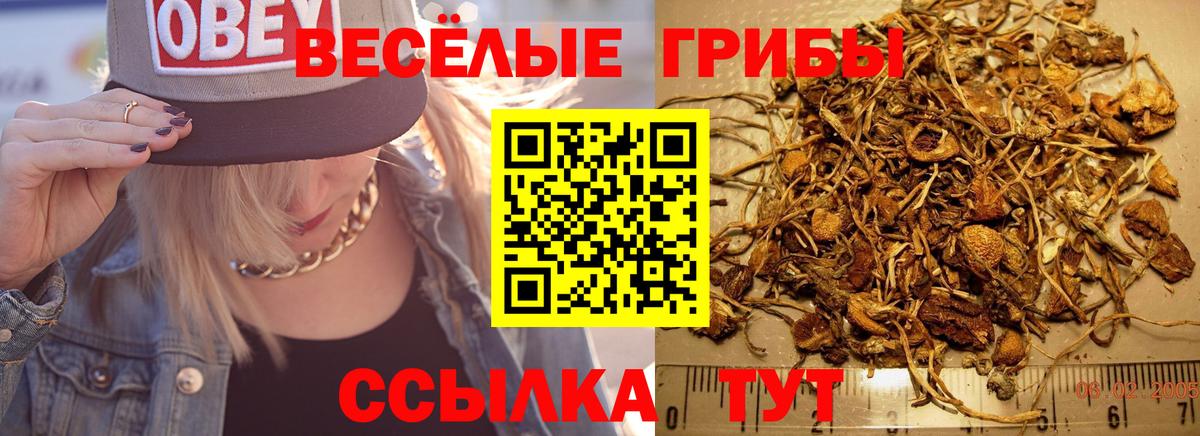 Анжеро-Судженск  Галлюциногенные грибы мицелий  Вход с VPN  Галлюциногенные грибы Psilocybine cubensis 