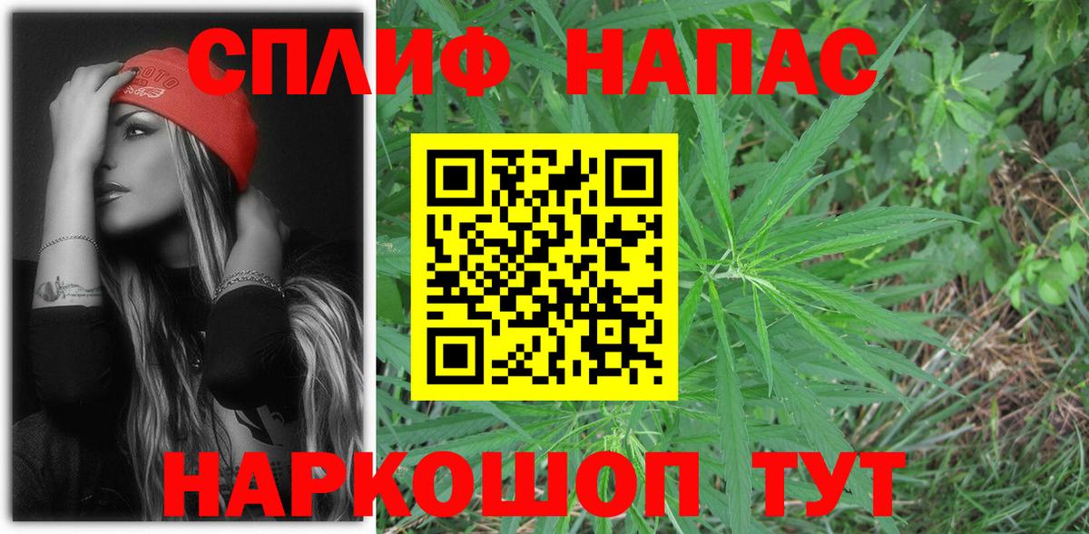 Конопля план Анжеро-Судженск